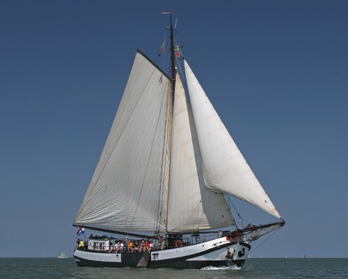 Das Segelschiff Larus